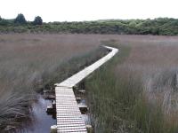 Albums/20060200-New Zealand 2006/20060313-Catlins/48